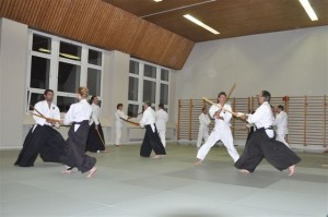 Aikido 2011 045
